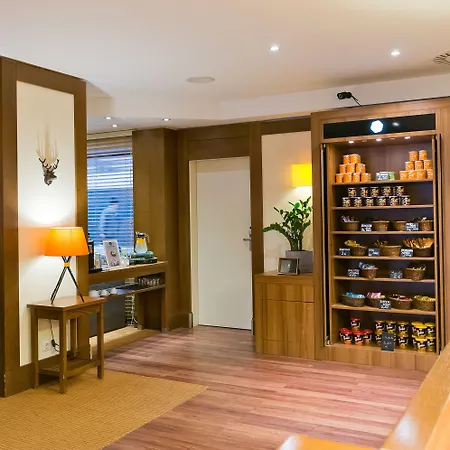 Arthotel Ana Im Olympiapark Mnichov